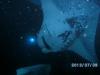 Manta Ray_night dive_Hawaii