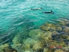 destin