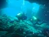 azores underwater landscapes