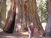 traveling in Yosemite