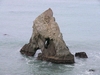 Van-Dame bay in ft bragg California..going diving for abalone