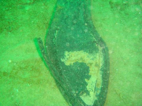 Cape Cod Wreck