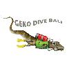 GekoDiveBali’s Profile Photo