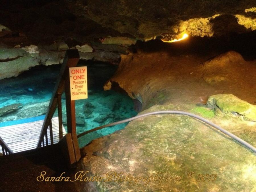 Devil’s Den Springs, Williston, FL 2013