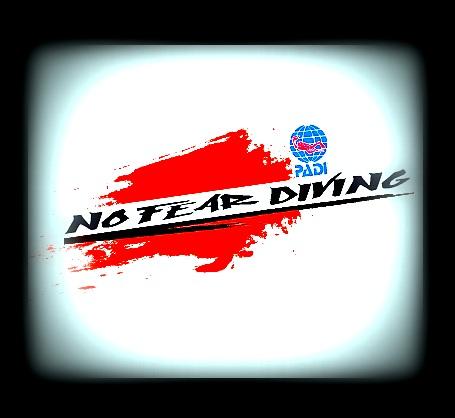 http://nofeardiving.com/