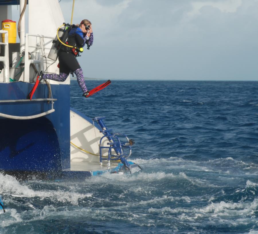 Jumping from a moving boat