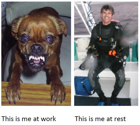 Work vs. Rest