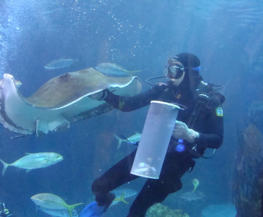 Feeding Time at the Denver Aquarium #6