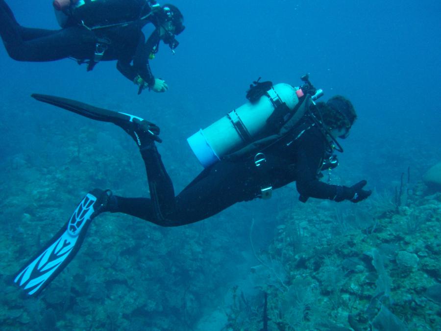 Michael and DeAnn ( ScubaDreaming) Guanica PR