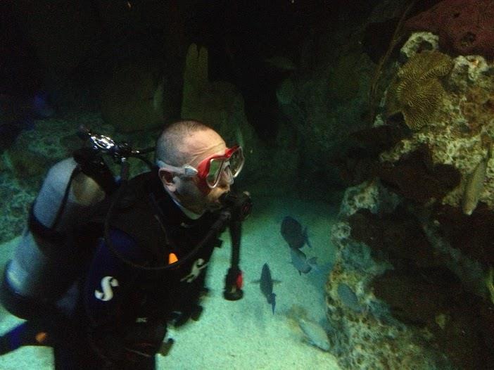 Gino Vega at Baltimore Aquarium2