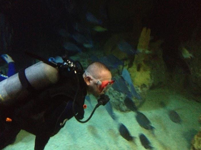 Gino Vega at Baltimore Aquarium3