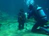 My Son Emanuel Vega completing his OW Check out Dives at Manatte Spring with Mike Of Scuba Dreammin