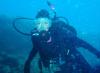 Barracuda Reef, Dania Beach, FL