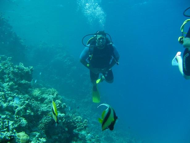 Red sea ... how i miss it