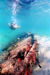 Peanut wreck snorkeler