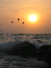 Easter Sunrise Trio