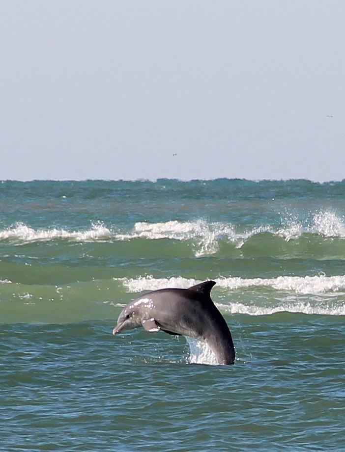 Florida Coast