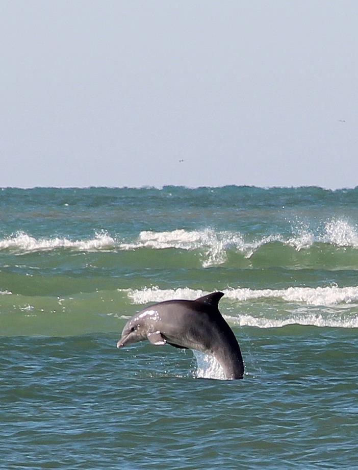 Florida Coast