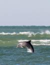 Florida Coast