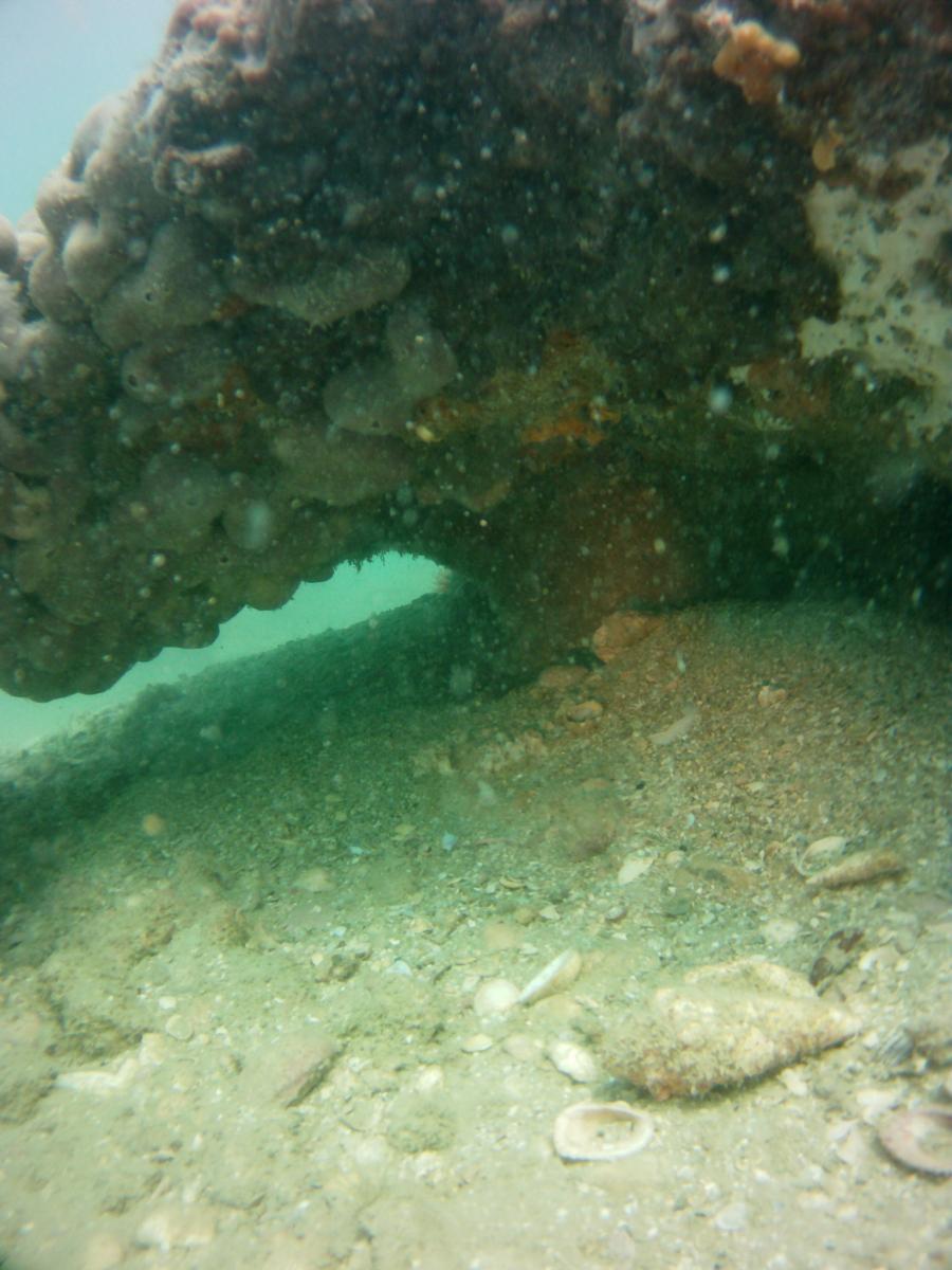 Photo uploaded by Diver38 (yes3.JPG)