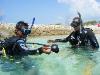 Discover Scuba Diving