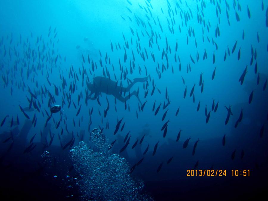 Thistlegorm, Eygpt, Sharm Alsheikh