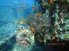 SS Thistlegorm, Red Sea, Eygpt