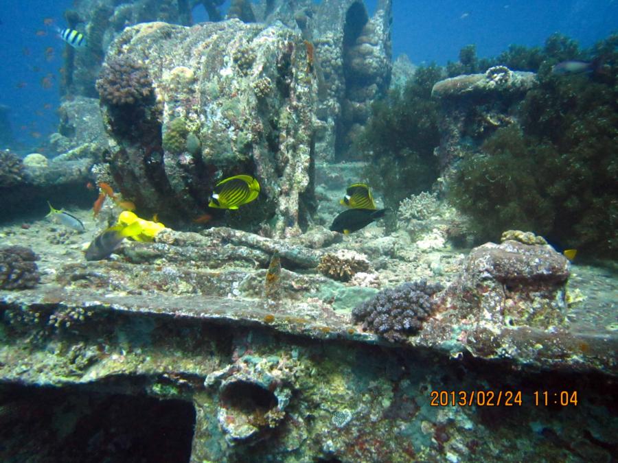 SS Thistlegorm, Red Sea, Eygpt