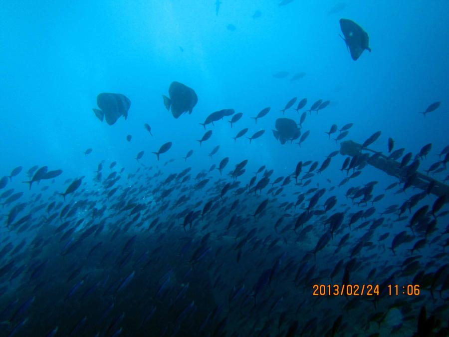 SS Thistlegorm, Red Sea, Eygpt