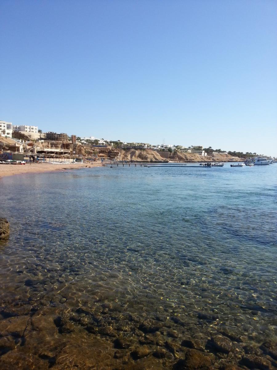 Shark Bay @ Sharm Elshiekh