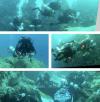 Technical Diving in Sharm Elshiekh