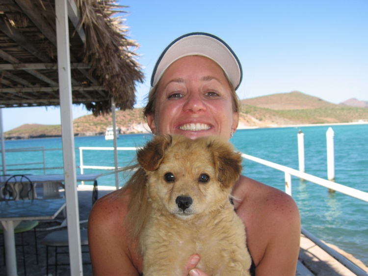 Resident puppy, La Paz, Club Cantemar