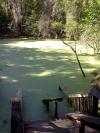 Catfish Hotel, Manatee Springs State Park