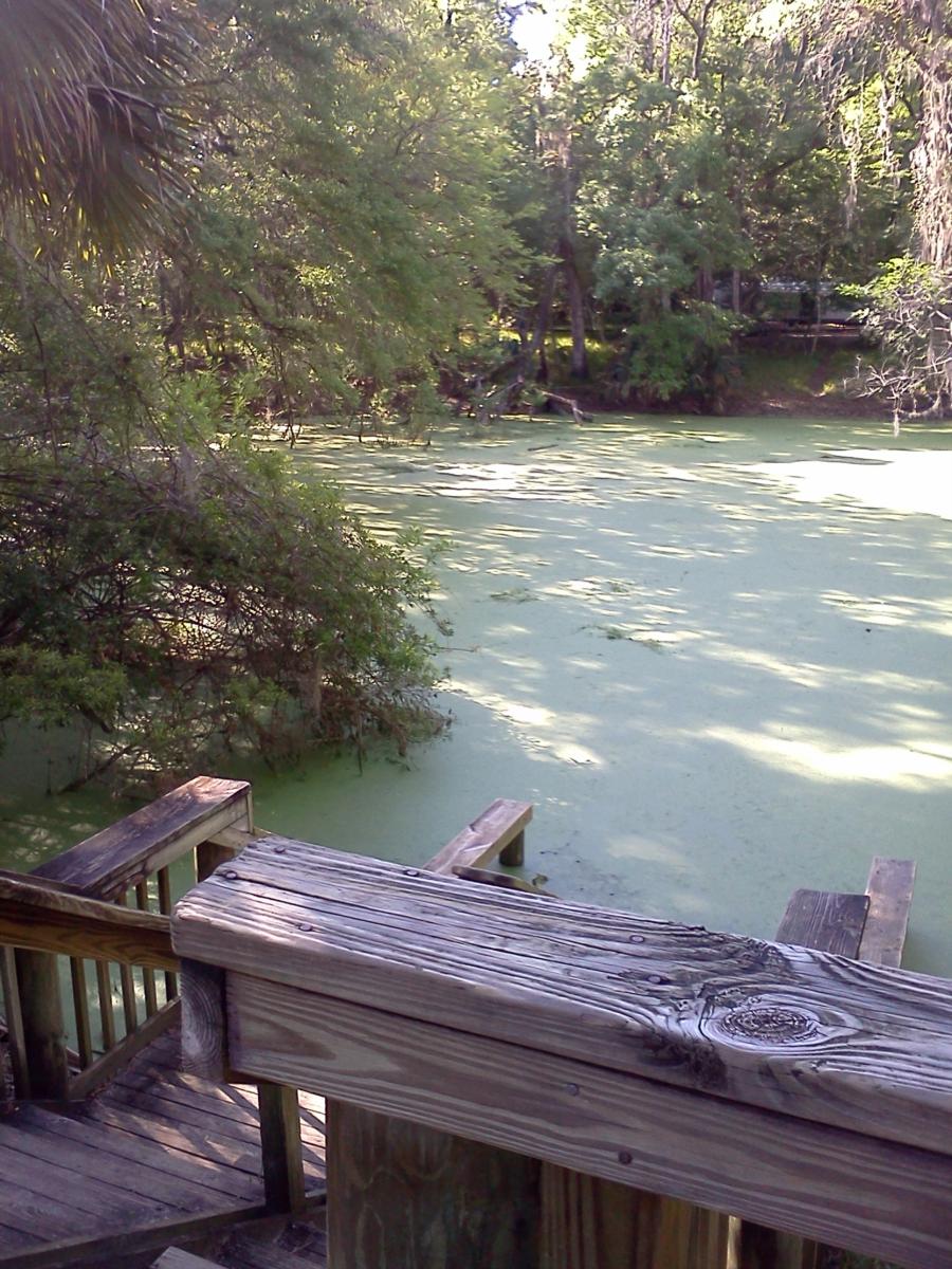 Catfish Hotel, Manatee Springs State Park