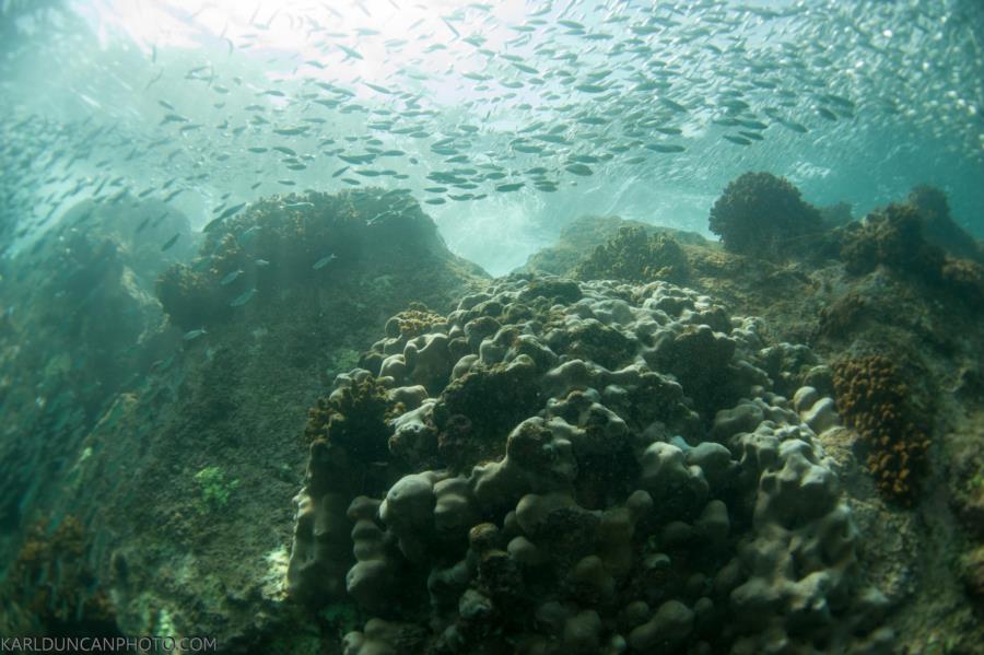 Cabo Reef