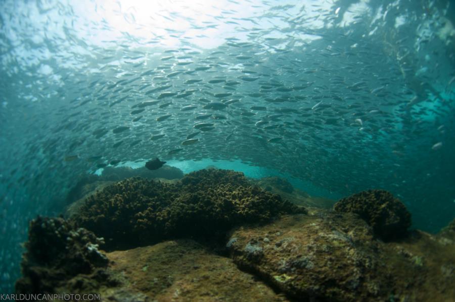 Cabo Reef