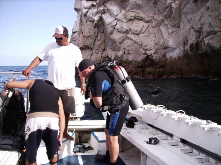 The Point  Cabo San Lucas