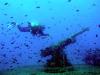 Wreck diving