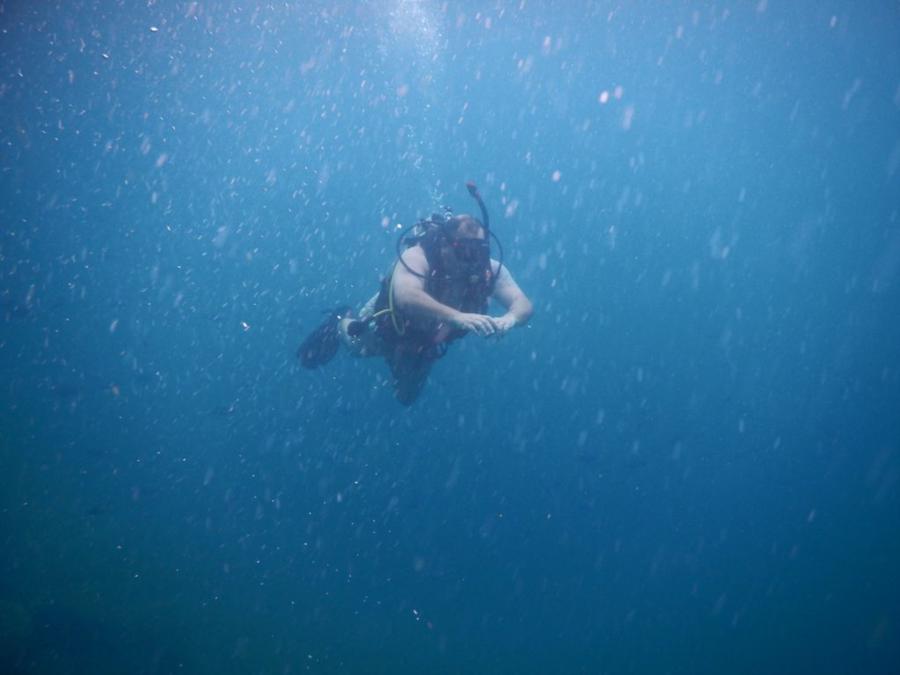 me diving again