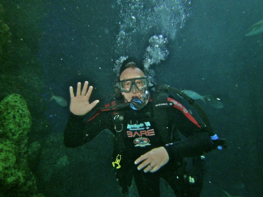 Diving at the Denver Aquarium