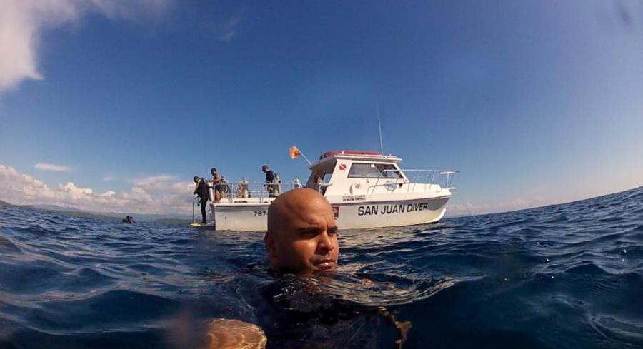 NURSE SHARK ENCOUNTER