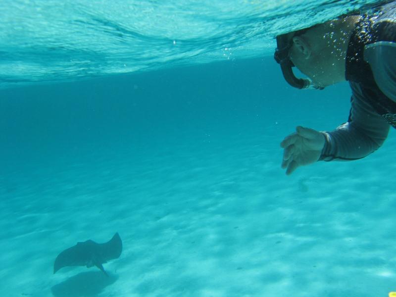 Snorkeling Rottnest Island