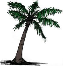 PalmTree