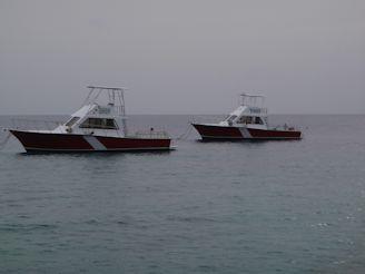 Night Night Dive Boats