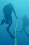 Divers (Key Largo, Florida)