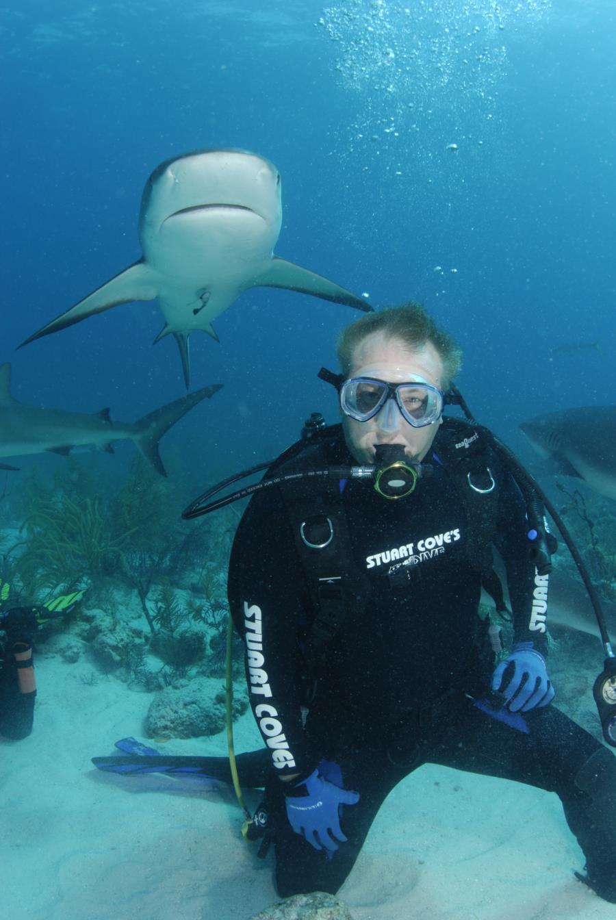 Shark diving in the Bahamas