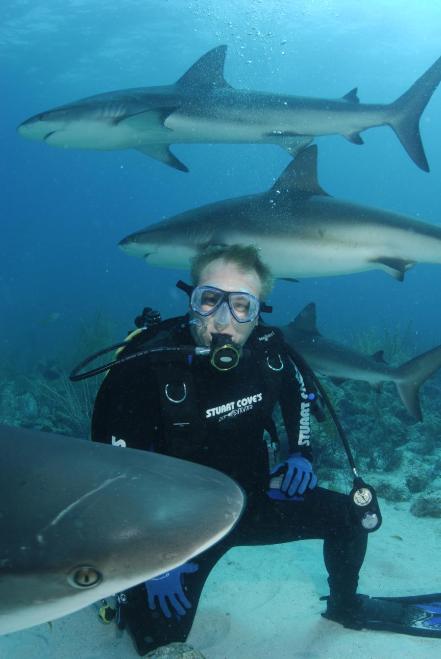 Shark diving in the Bahamas