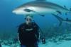 Shark Diving in the Bahamas