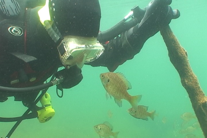 Local Diving in the Cuyuna Mine Pits