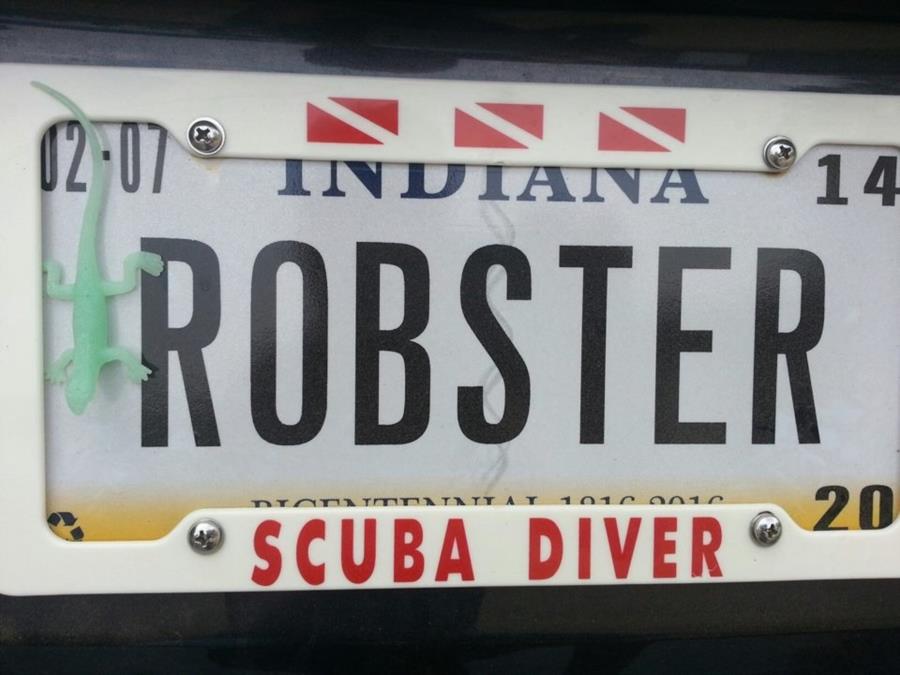 My License Plate